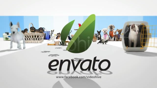 Pet Store Intro Tv Show Videohive 1952833 After Effects Image 5