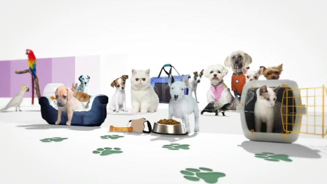 Pet Store Intro Tv Show Videohive 1952833 After Effects Image 7