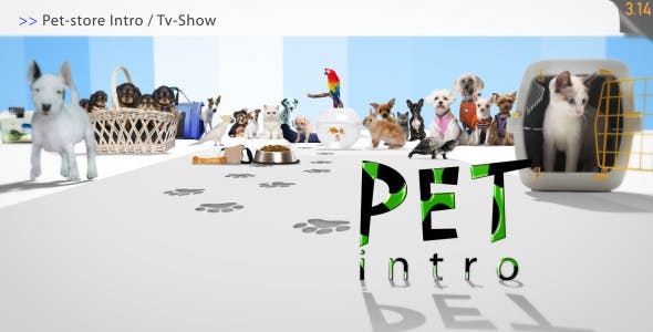 Pet Store Intro Tv Show - 1952833 Download Videohive