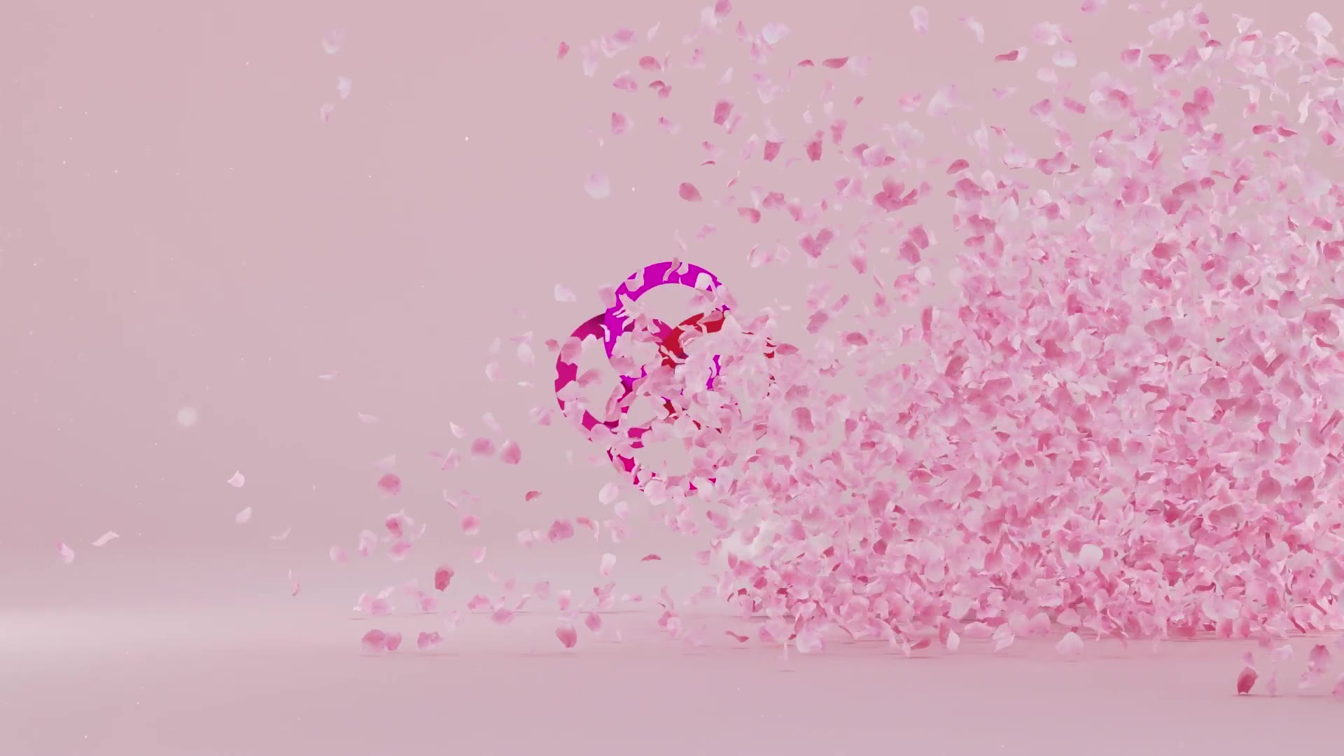 petals logo reveal videohive free download after effects template