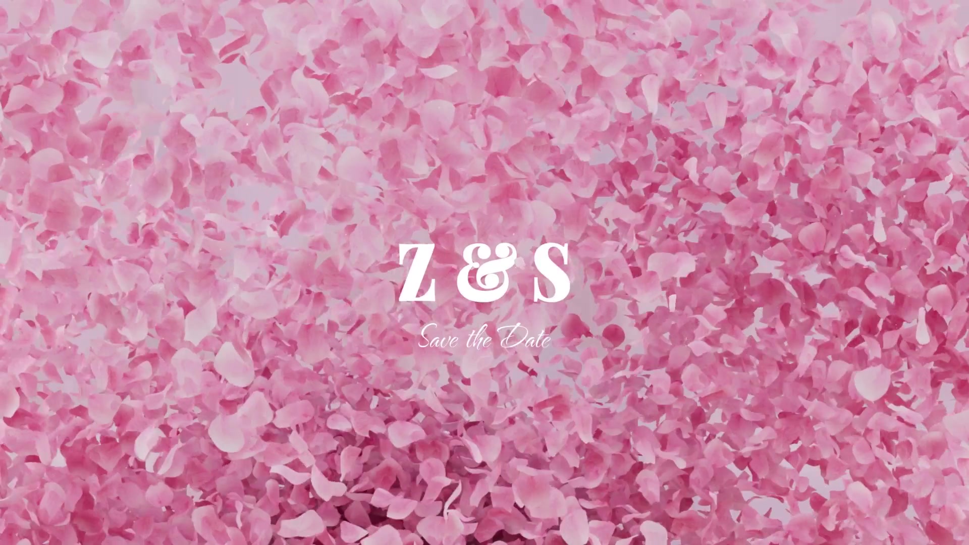 Petals Logo Reveal Videohive 35880237 After Effects Image 9