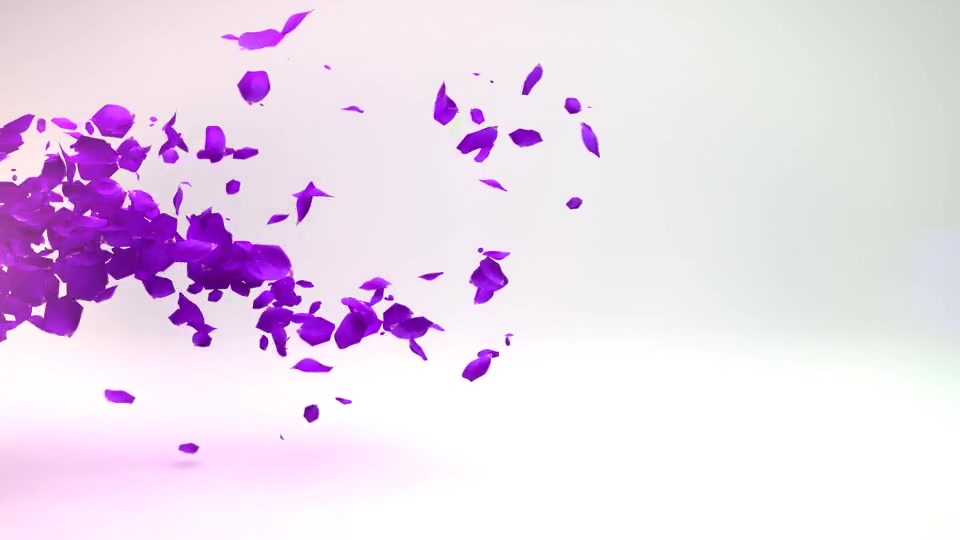 Petals Logo Reveal - Download Videohive 19533092