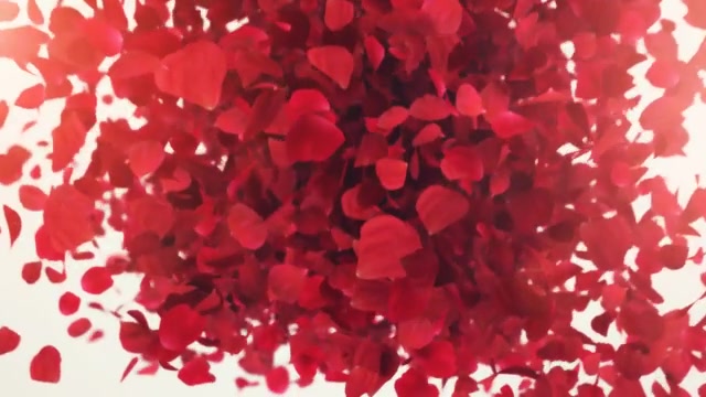 Petals Logo Reveal II - Download Videohive 9453684