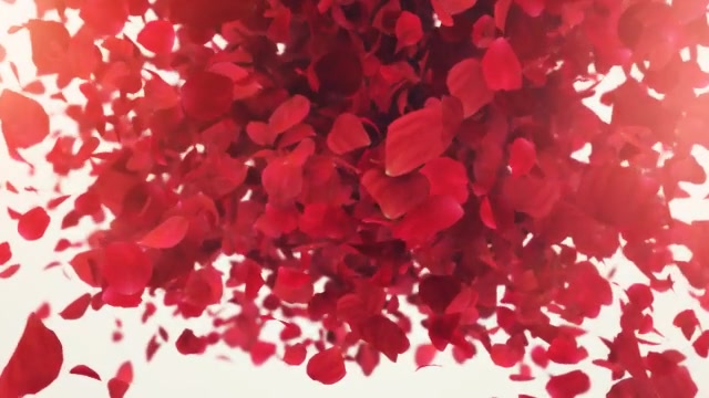 Petals Logo Reveal II - Download Videohive 9453684