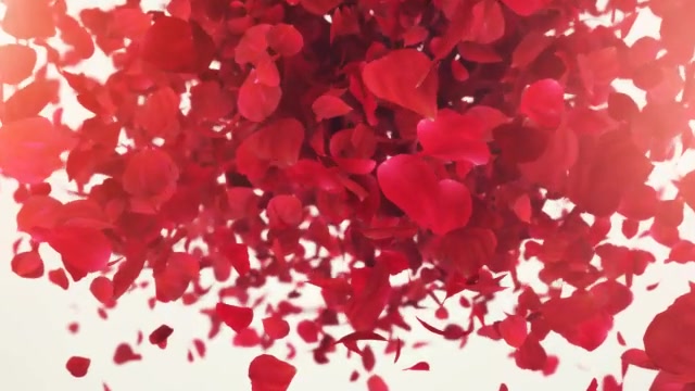 Petals Logo Reveal II - Download Videohive 9453684