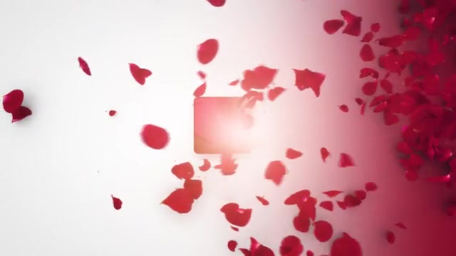 Petals Logo Reveal III Videohive 20732892 After Effects Image 5