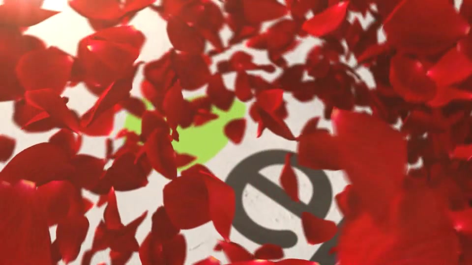 Petals Rose Reveal Videohive 12477717 After Effects Image 2