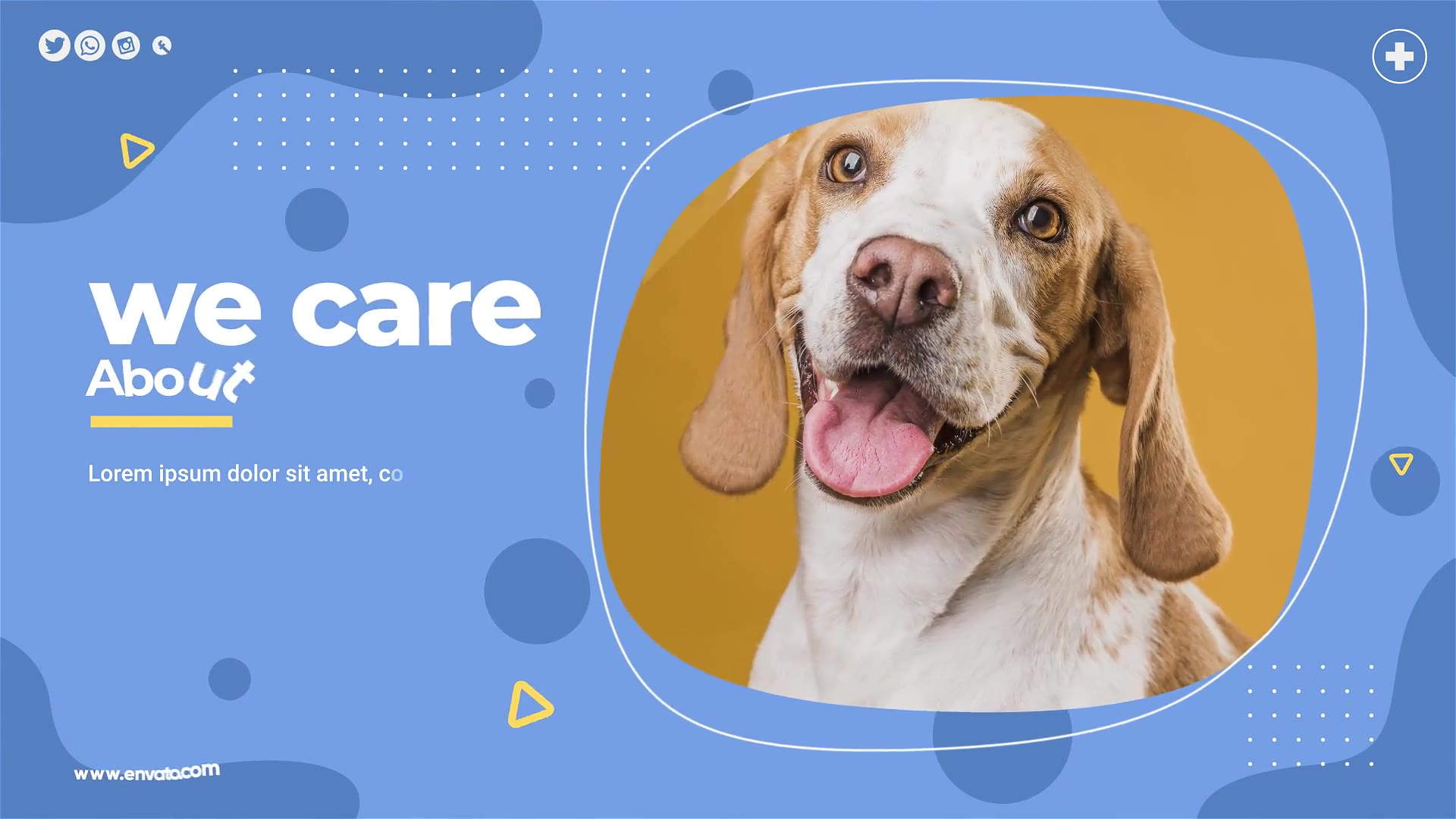 Pets Care and Cure Center Videohive 26234057 After Effects Image 2