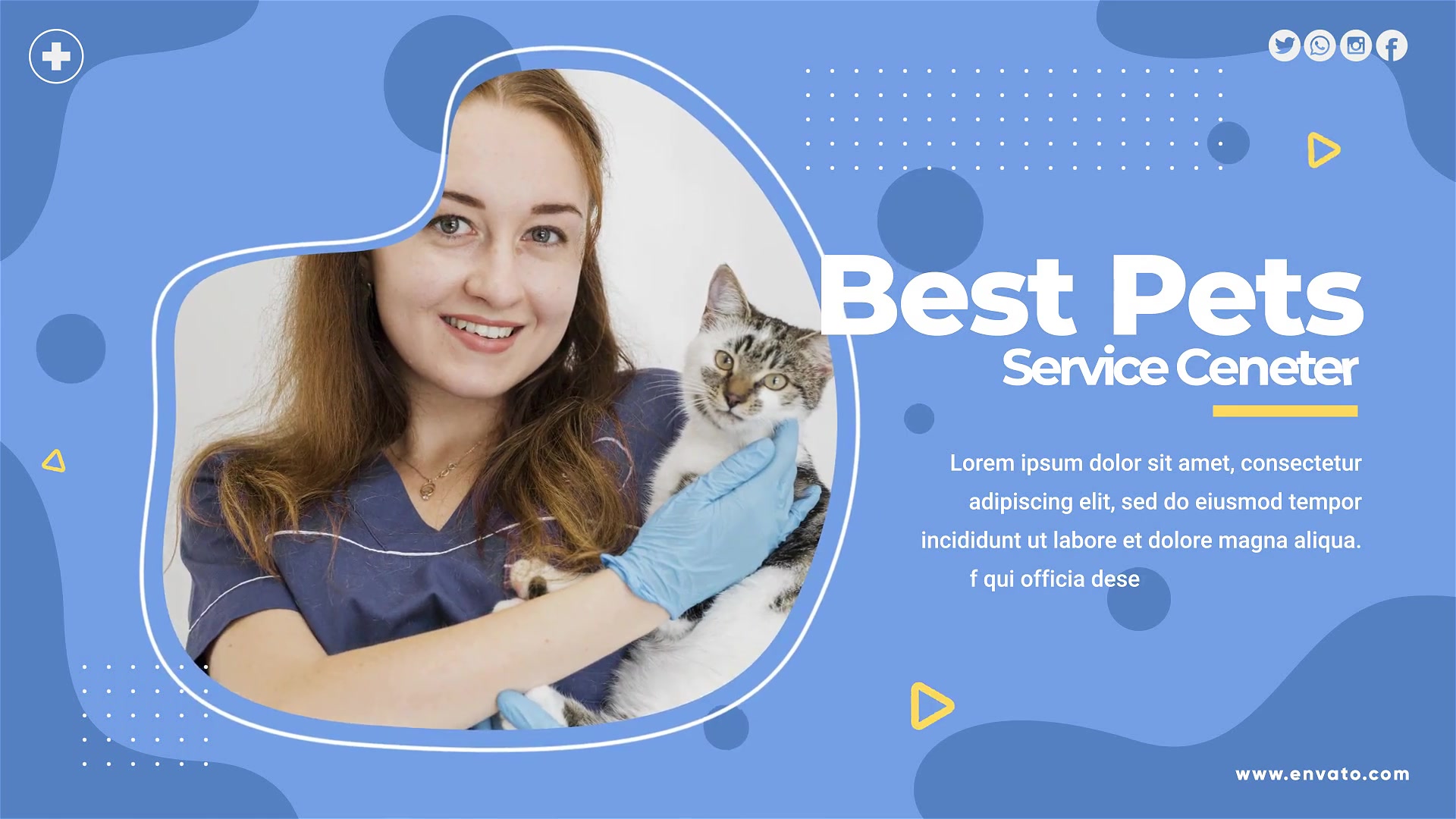 Pets Care and Cure Center Videohive 26234057 After Effects Image 3