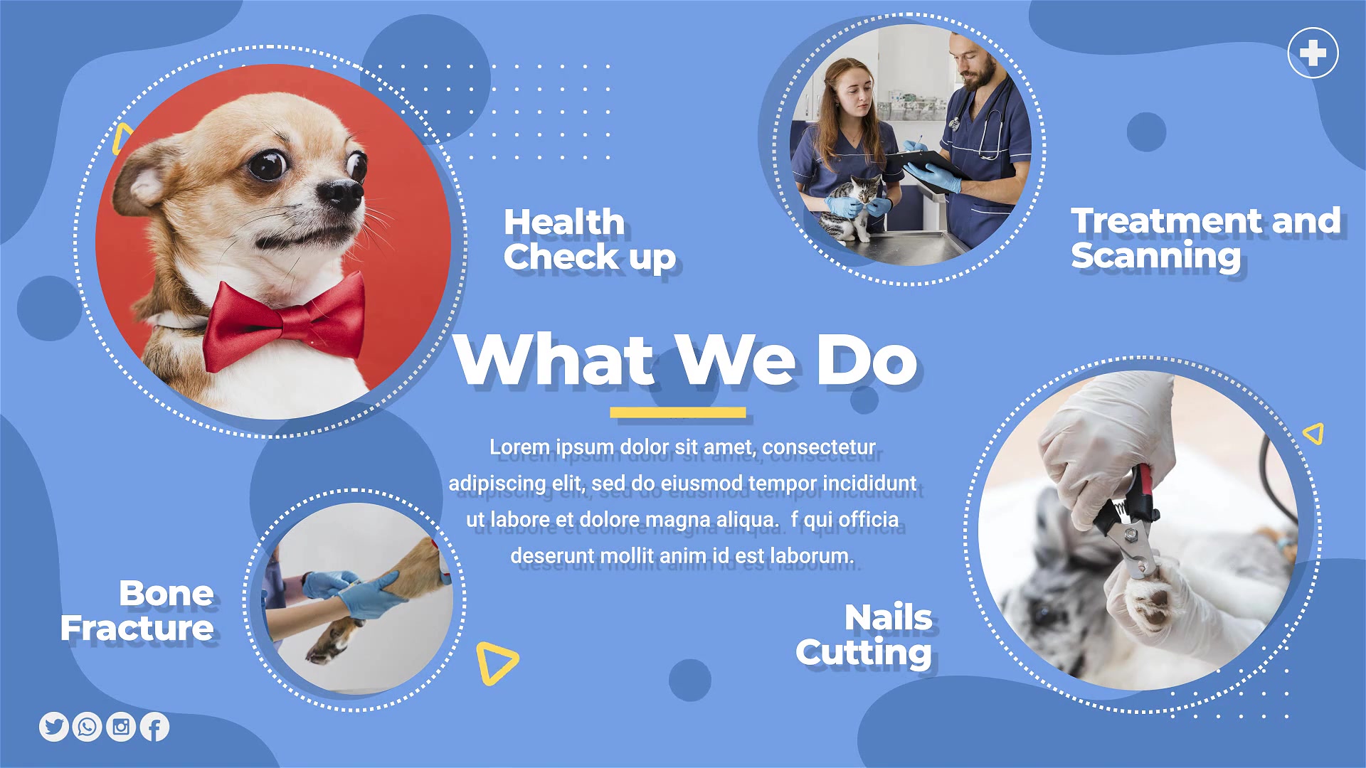 Pets Care and Cure Center Videohive 26234057 After Effects Image 4