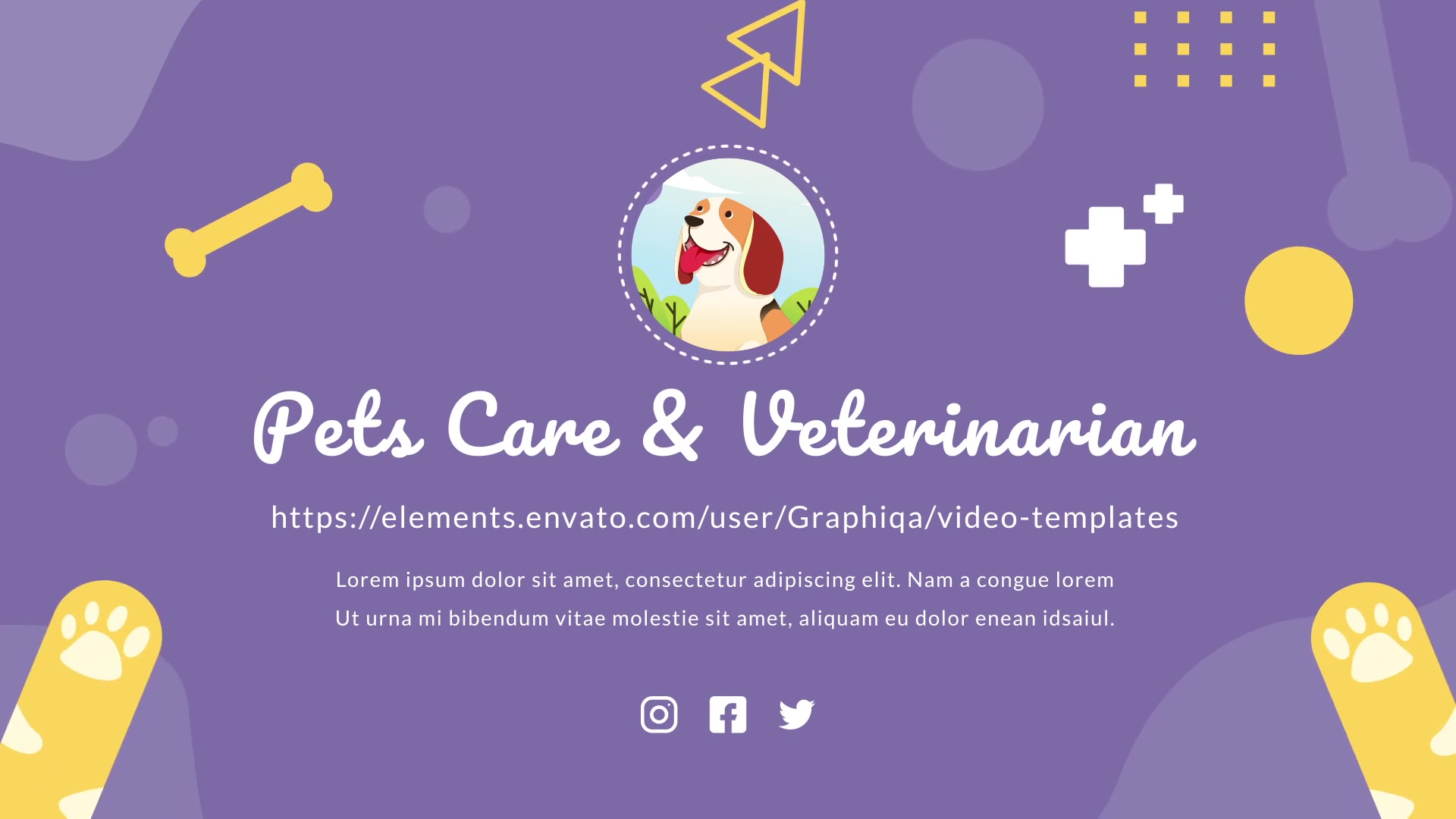 Pets Care and Veterinarian | After Effects Videohive 28387481 After Effects Image 11