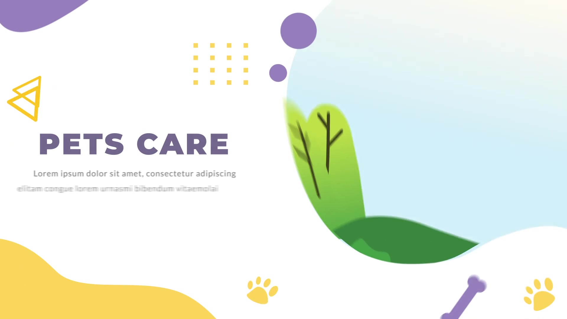 Pets Care and Veterinarian | After Effects Videohive 28387481 After Effects Image 2