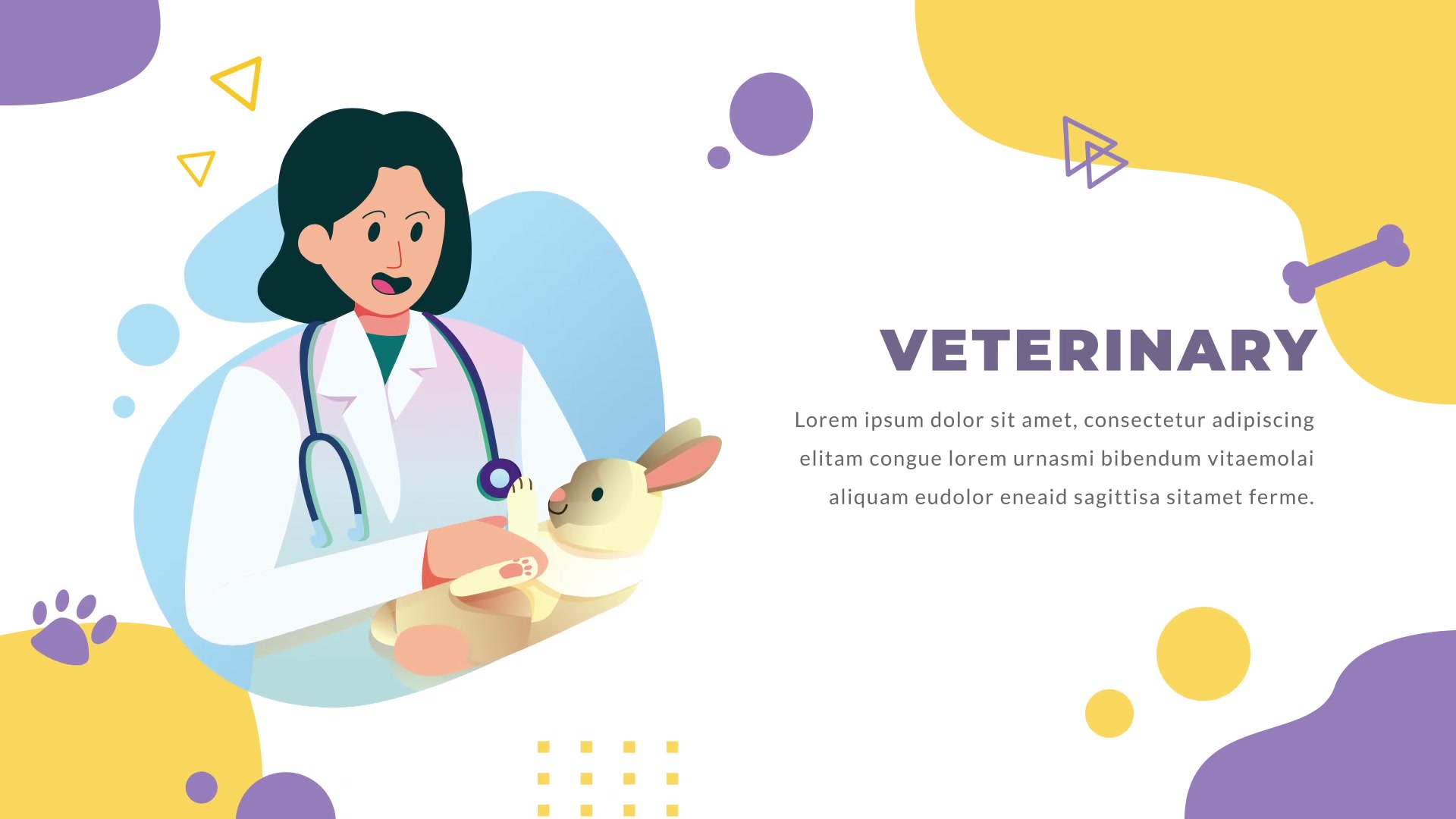 Pets Care and Veterinarian | After Effects Videohive 28387481 After Effects Image 4