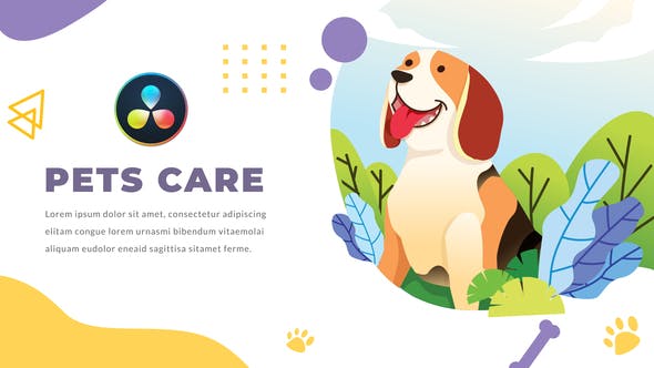 Pets Care and Veterinarian | DaVinci Resolve - Download 32634766 Videohive