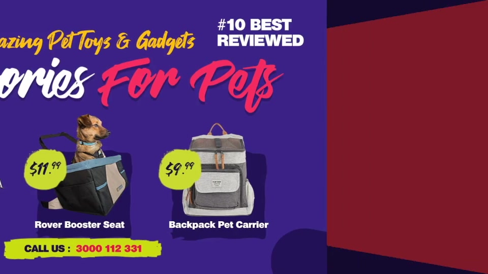Pets Shop and Care Slideshow Videohive 32574226 After Effects Image 7