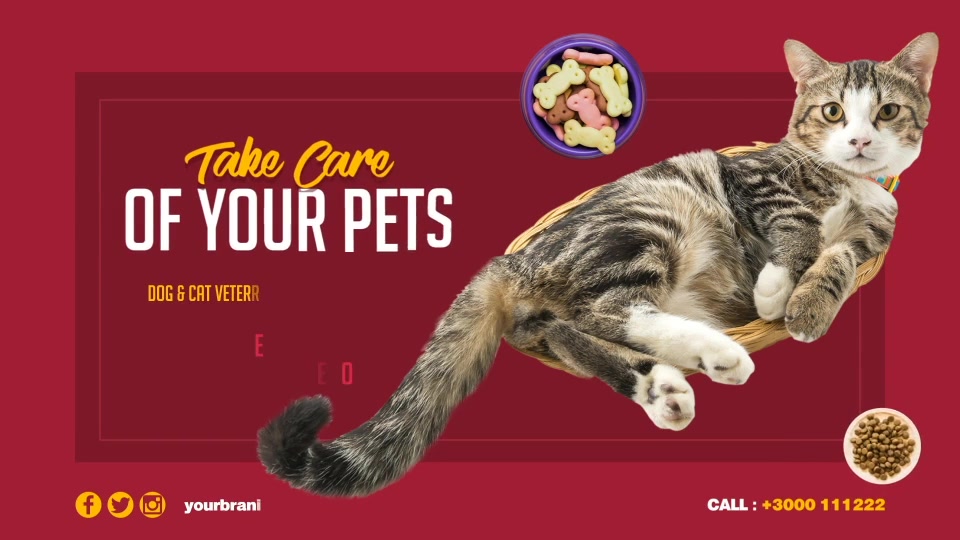 Pets Shop and Care Slideshow Videohive 32574226 After Effects Image 8