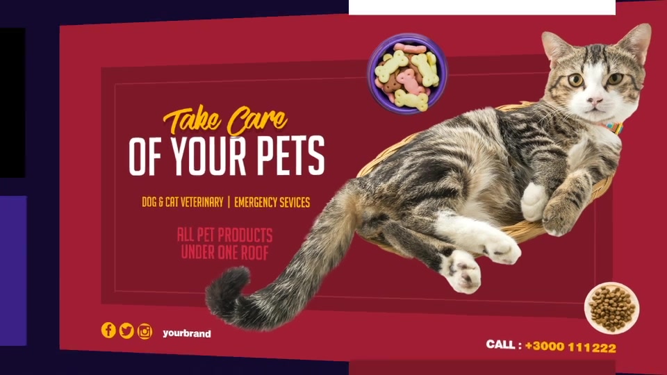 Pets Shop and Care Slideshow Videohive 32574226 After Effects Image 9