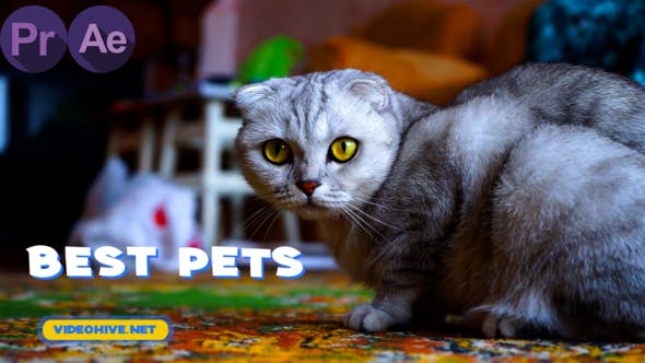 Pets Slideshow - 31777992 Download Videohive