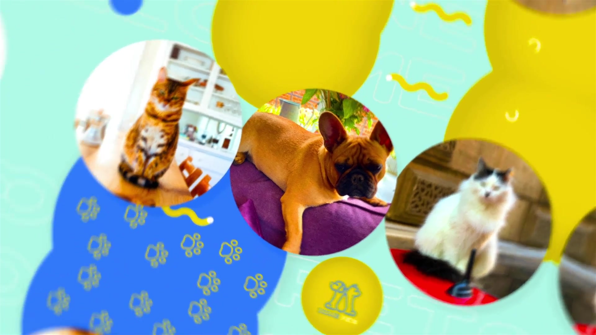Pets Slideshow Videohive 31470611 After Effects Image 4