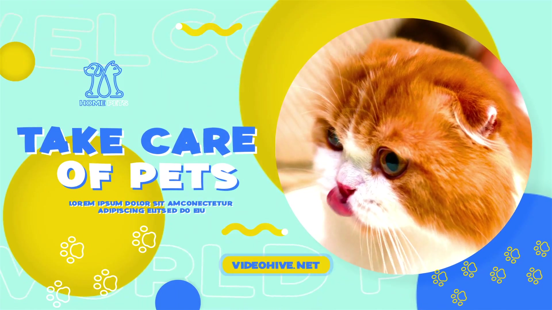 Pets Slideshow Videohive 31470611 After Effects Image 5