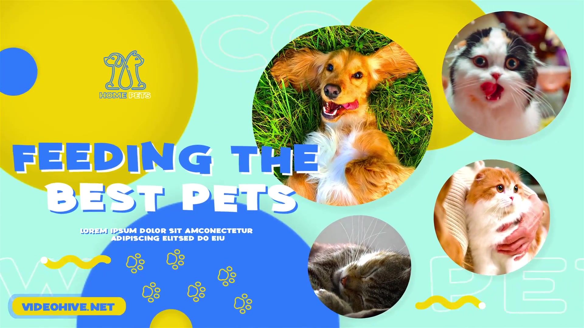 Pets Slideshow Videohive 31470611 After Effects Image 6