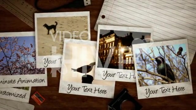 Photo Album V.2 - Download Videohive 44575