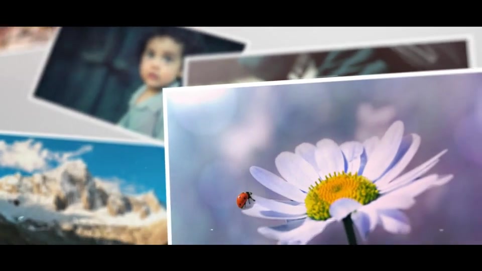 Photo Collection - Download Videohive 16575972