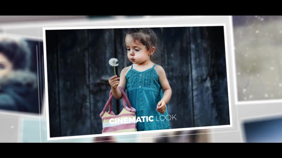 Photo Collection - Download Videohive 16575972