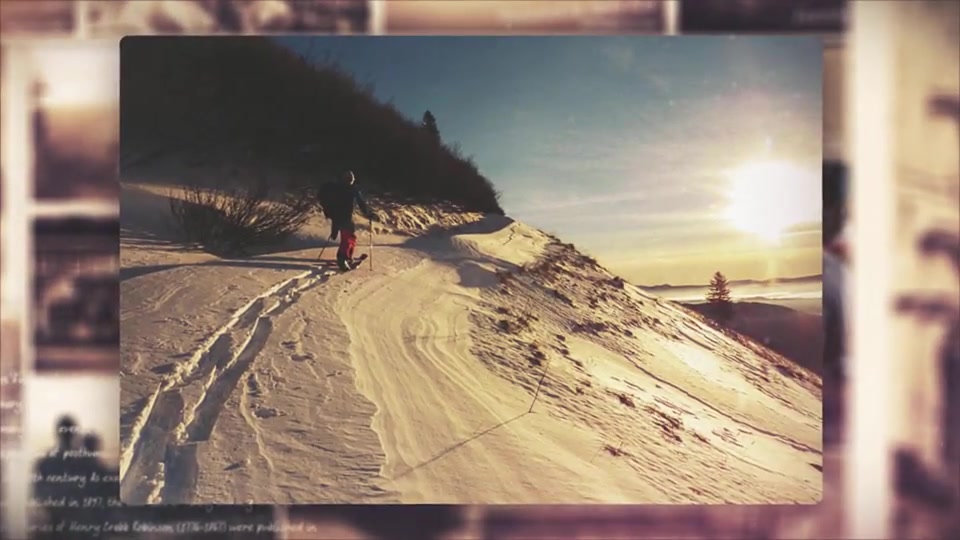 Photo Diary - Download Videohive 10869315