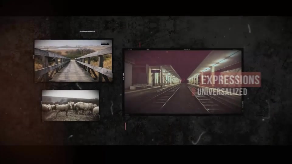 Photo Frames Slideshow Videohive 12130529 After Effects Image 9