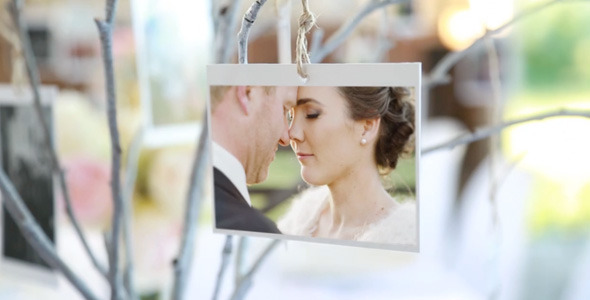 Photo Gallery at a Country Wedding - Download Videohive 3766508