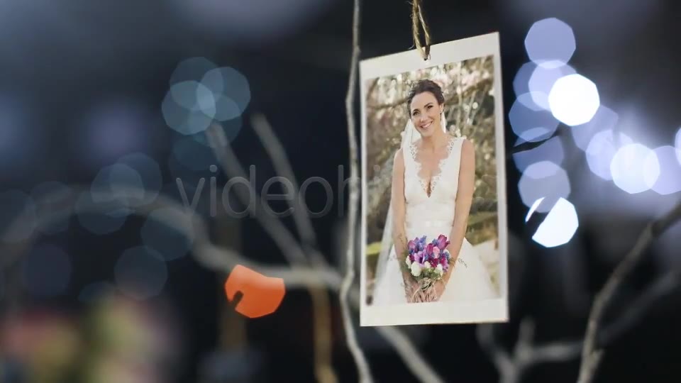 Photo Gallery at a Country Wedding II - Download Videohive 4205374