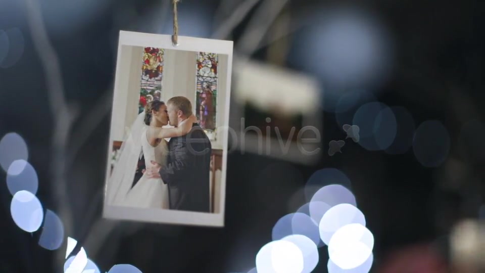 Photo Gallery at a Country Wedding II - Download Videohive 4205374