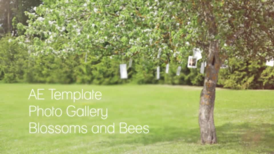 Photo Gallery Blossoms and Bees - Download Videohive 6353451