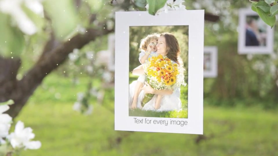 Photo Gallery Blossoms and Bees - Download Videohive 6353451