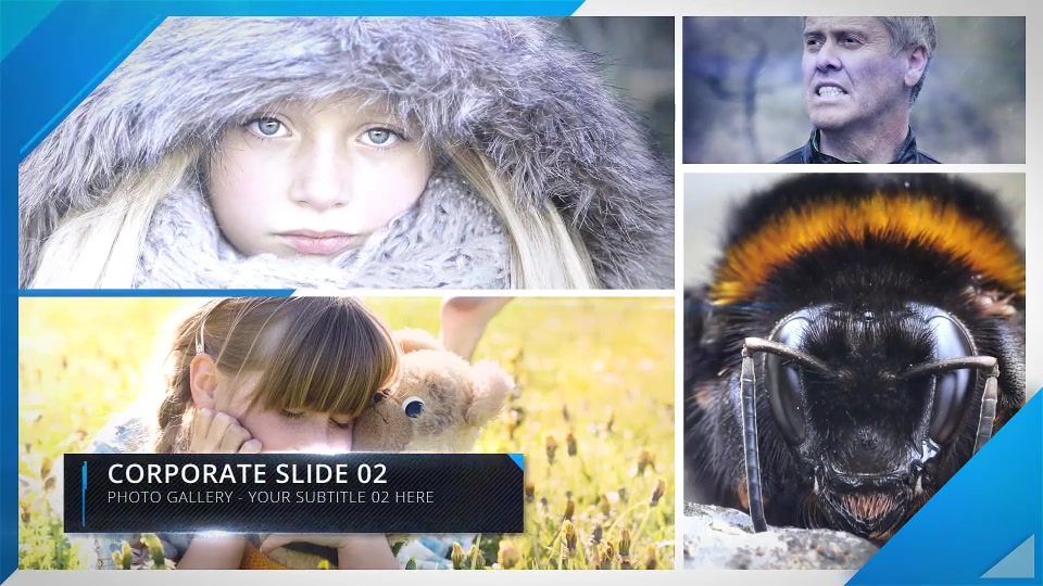 Photo Gallery - Download Videohive 13836130