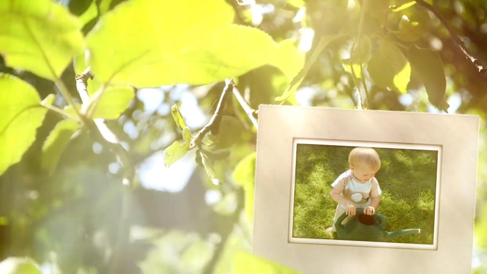 Photo Gallery in a Sunny Garden Videohive 13344617 After Effects Image 7