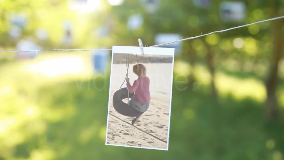 Photo Gallery in a Sunny Orchard - Download Videohive 3949257