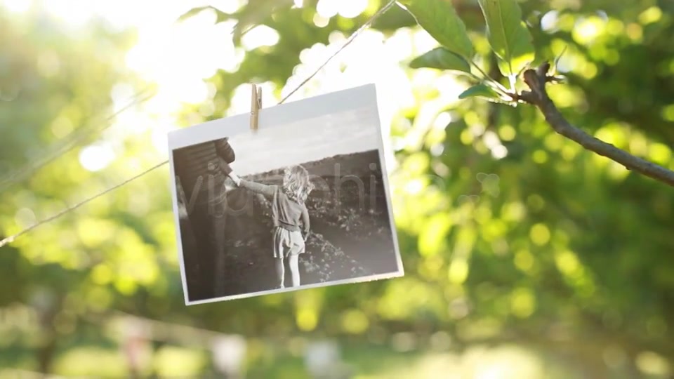 Photo Gallery in a Sunny Orchard - Download Videohive 3949257