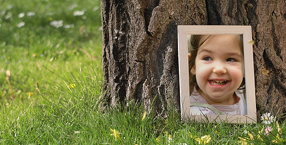 Photo Gallery in a Sunny Park - Download Videohive 7762906