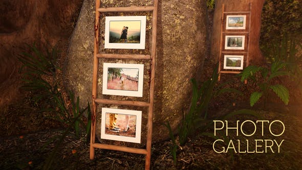 Photo gallery in an enchanted forest - 24597028 Download Videohive