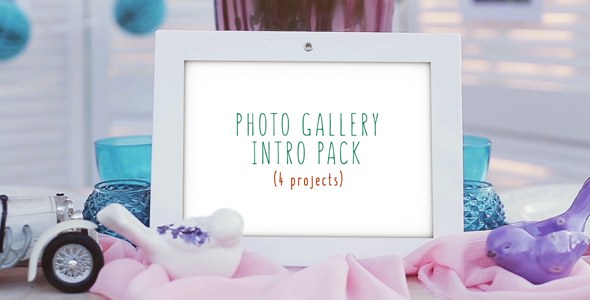 Photo Gallery Intro Pack - Download Videohive 17075690