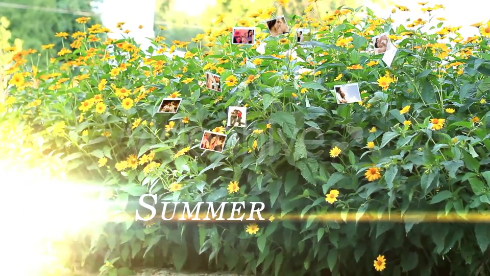 Photo Gallery on a Flower Holiday - Download Videohive 5114826