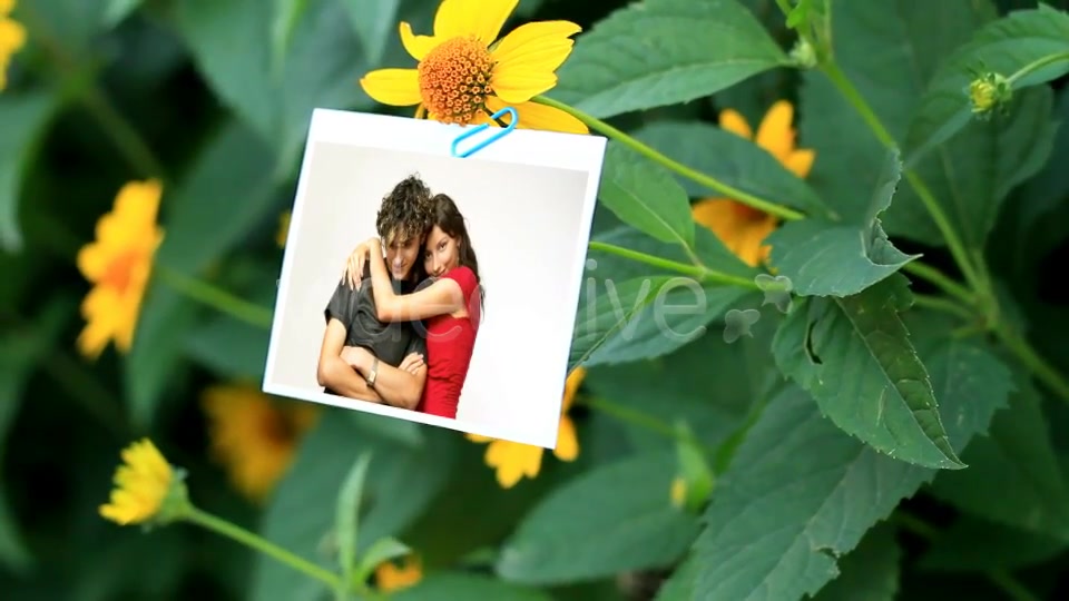 Photo Gallery on a Flower Holiday - Download Videohive 5114826