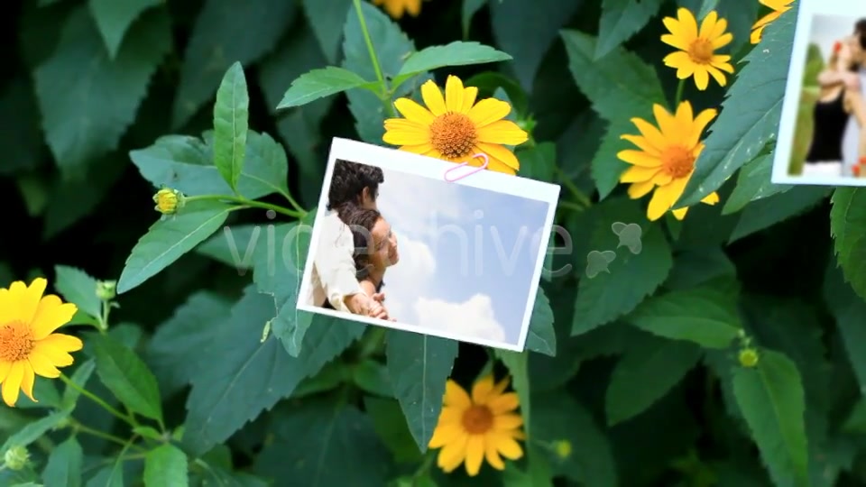 Photo Gallery on a Flower Holiday - Download Videohive 5114826