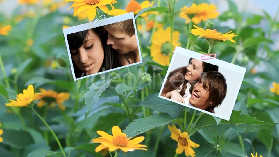 Photo Gallery on a Flower Holiday - Download Videohive 5114826