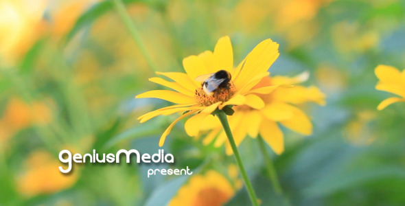 Photo Gallery on a Flower Holiday - Download Videohive 5114826