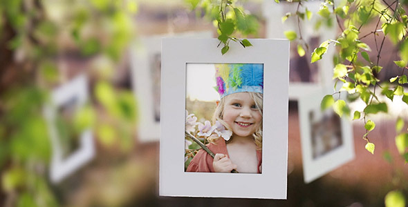 Photo Gallery on a Sunny Afternoon - Download Videohive 3209013