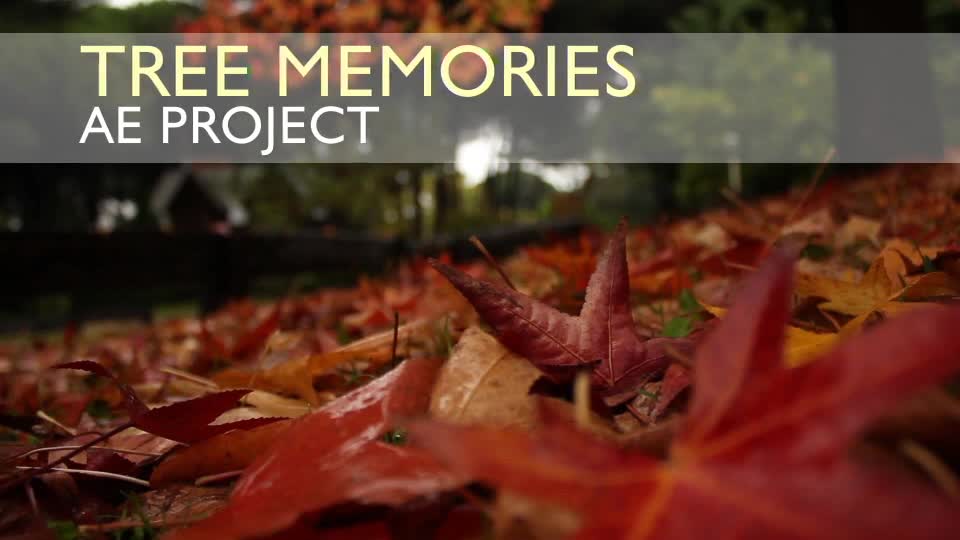 Photo Gallery on an Autumn Afternoon Videohive 8689516 After Effects Image 1