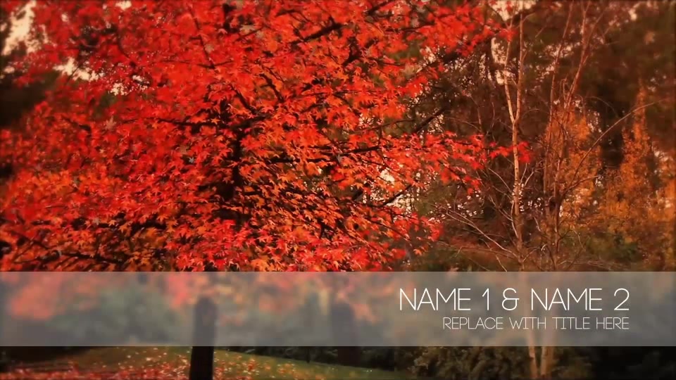 Photo Gallery on an Autumn Afternoon Videohive 8689516 After Effects Image 10